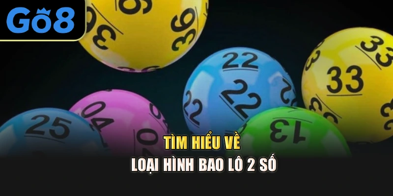 Tìm hiểu về loại hình bao lô 2 số